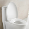 Amerikan Standart Konfor Yüksekliği Güçlü Çift Flush ile Beyaz Banyo Klozet