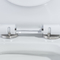 28&quot; 1.28 Gpf Dual Flush Tek Parça Tuvalet Amerikan Standardında 10 İnç Kaba