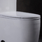 21 İnç Ada Konfor Yükseklik Tuvalet 1.6 Gpf Tek Parça Komodin Porselen Uzun