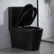 1.6 Gpf Mat Siyah Çift Gömme Uzatılmış Tek Parça Tuvalet Amerikan Standardı