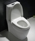 Yavaşlama Klozet Kapağında 11 İnç Pürüzlü Üst Düzey Tek Parça Uzatılmış Tuvalet