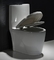 Yavaşlama Klozet Kapağında 11 İnç Pürüzlü Üst Düzey Tek Parça Uzatılmış Tuvalet